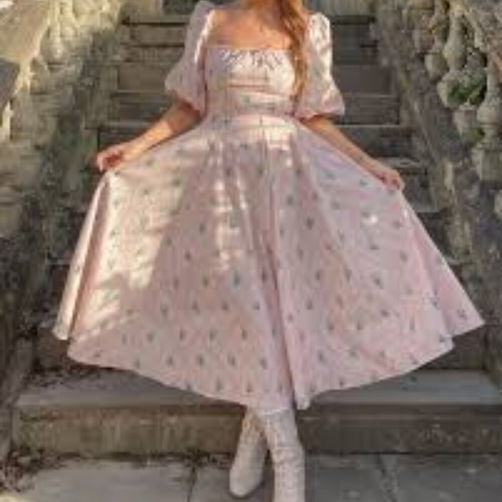 ISO  DO NOT BUY Selkie Carol Day Dress in XXS, XS, or Small